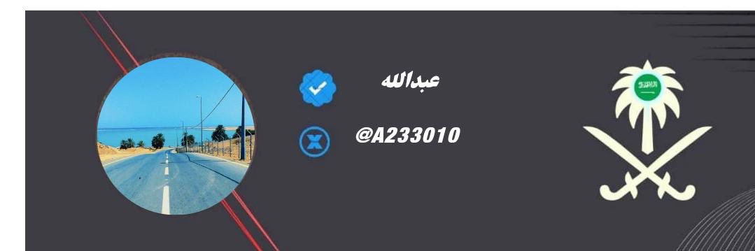 A233010's profile banner image