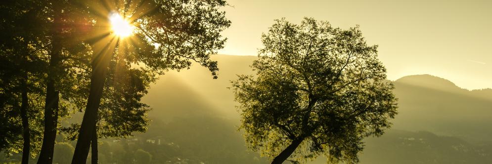 Kwade Tweeling banner