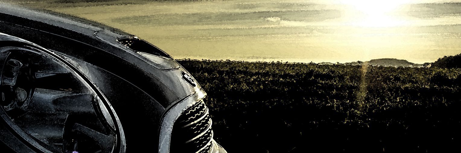 DaniRucki's profile banner image