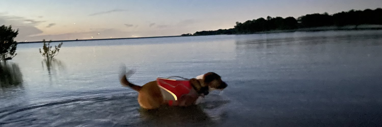 snacklemore's banner