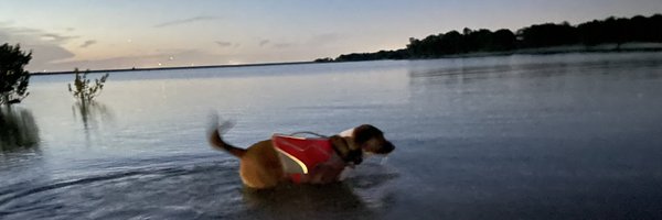 intotheweids Profile Banner