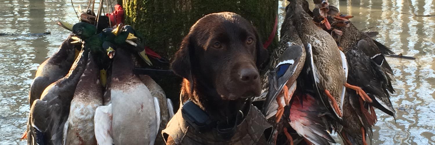 Foreman_14's profile banner image