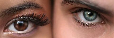DINA_IR91's profile banner image