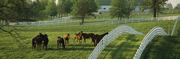 bhmorehead95's profile banner image