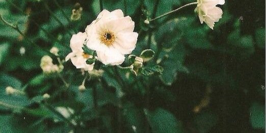 abigailfass's profile banner image
