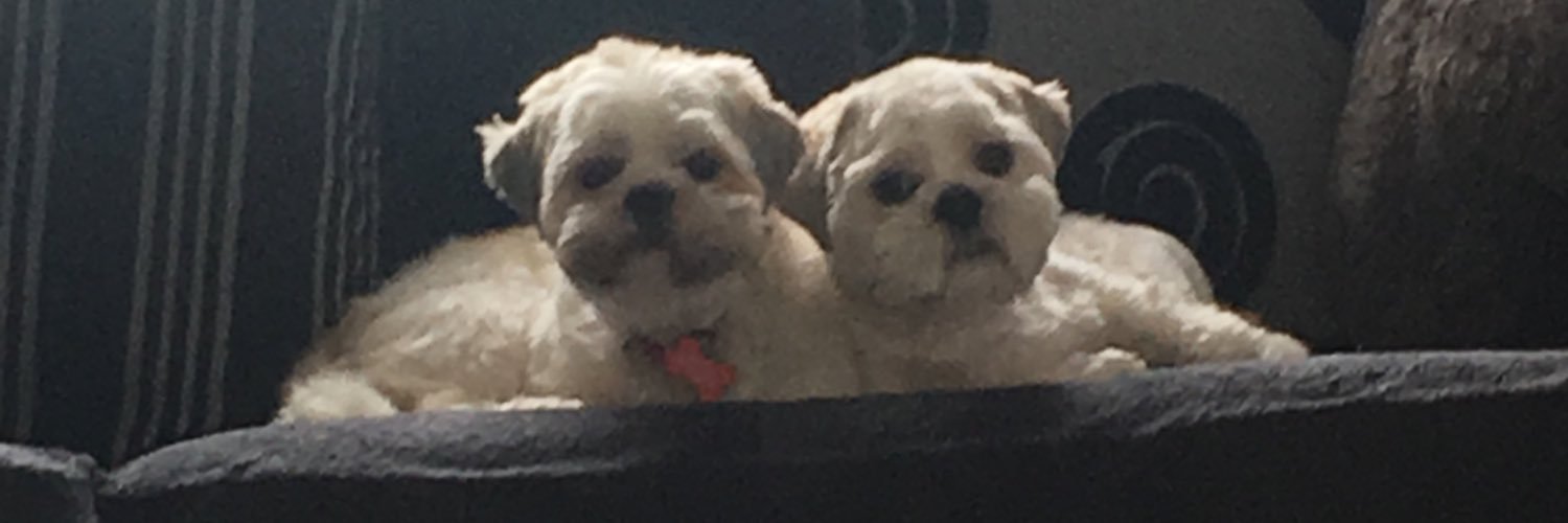 XmashimaruX's profile banner image