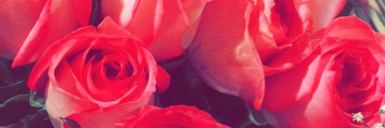 lexiLU18's profile banner image