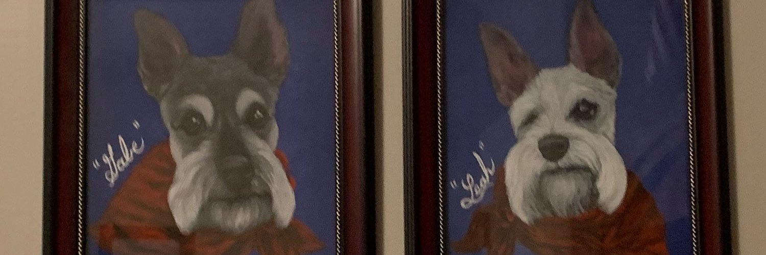 ShirleyGoodwin banner