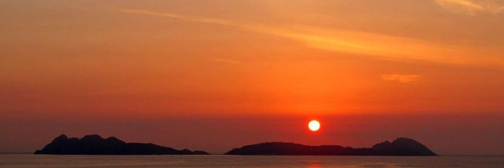 pumi_19's profile banner image