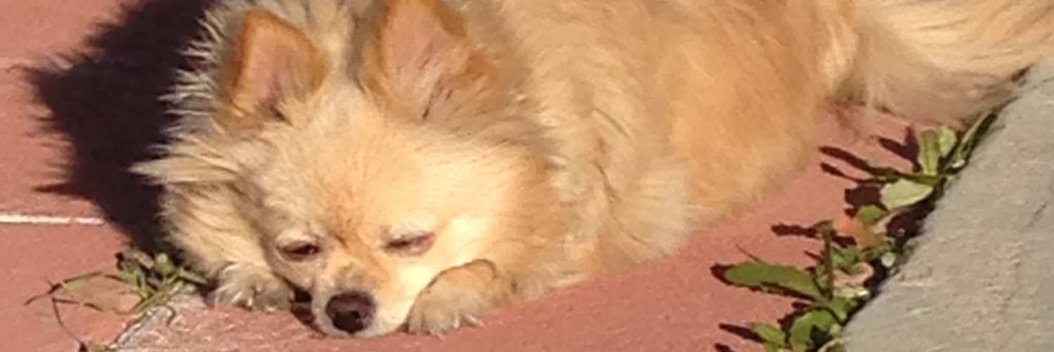 artipie's profile banner image