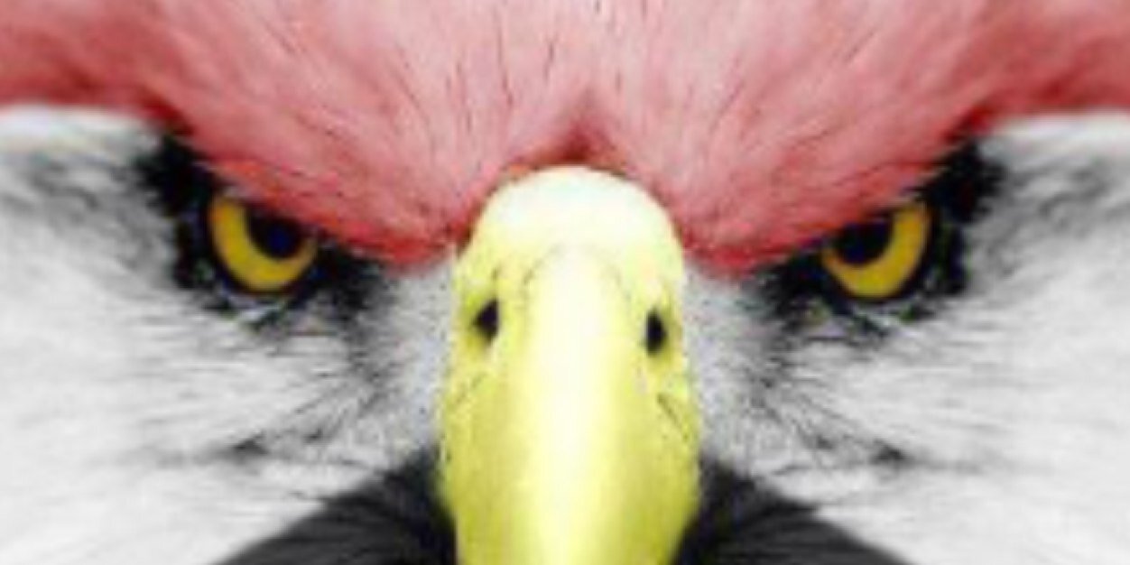 nagymonir_83's profile banner image