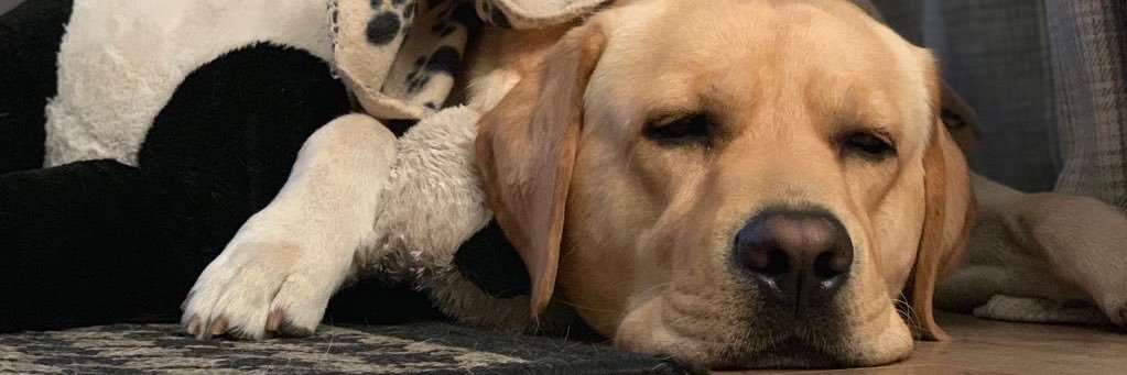 copeash_'s profile banner image