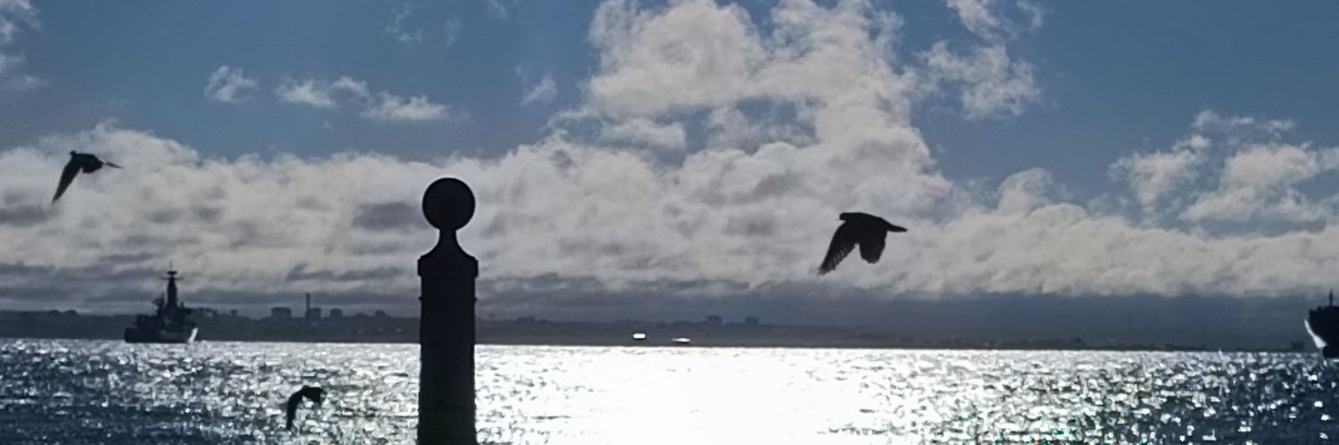 VitoHerbb's profile banner image