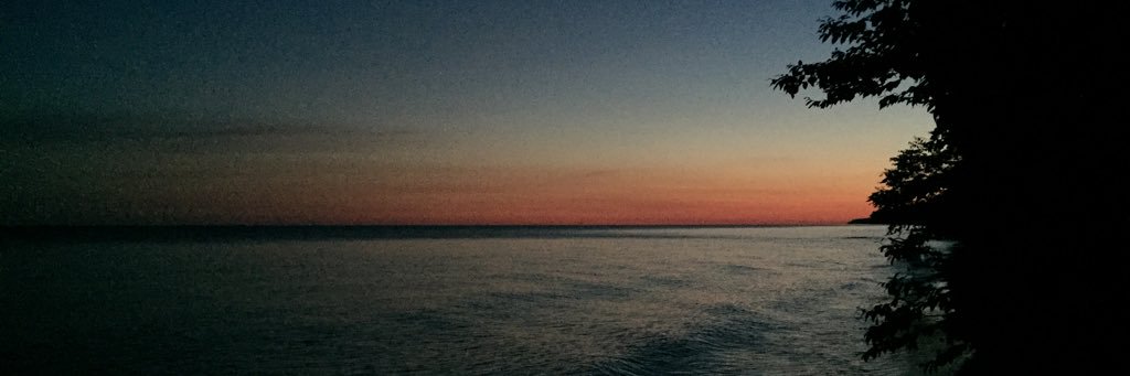 allison_fly's profile banner image