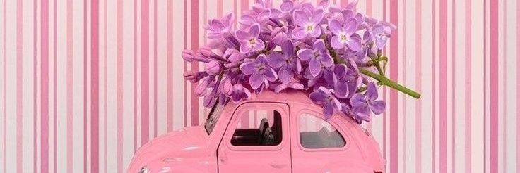 clendacosta's profile banner image