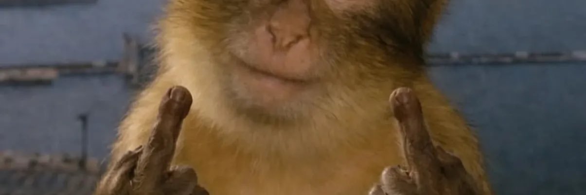 Favaina's profile banner image