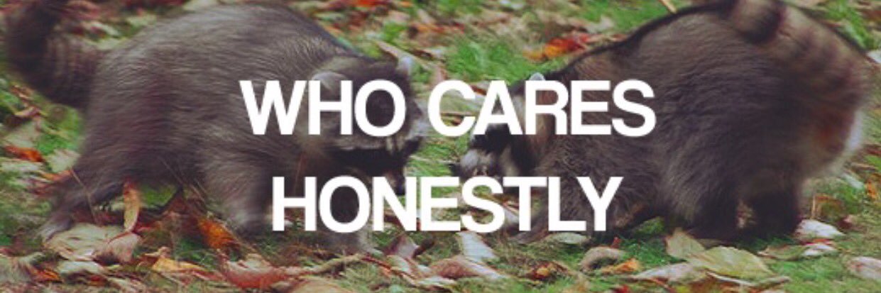 magsmcghee's profile banner image