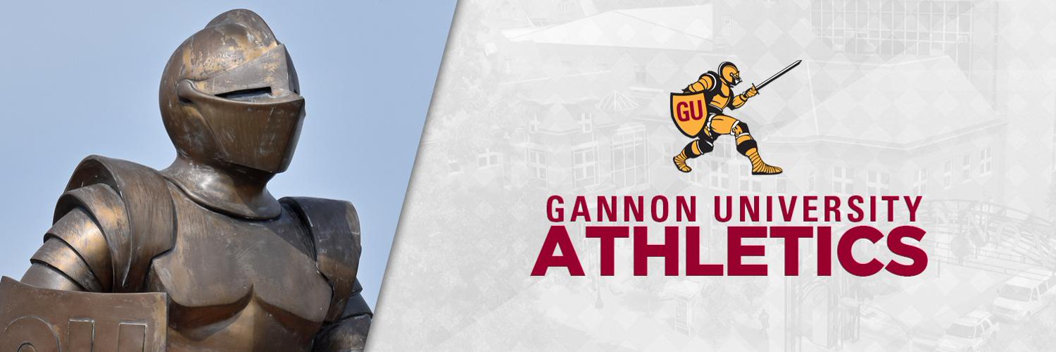 Gannon Athletics Profile Banner