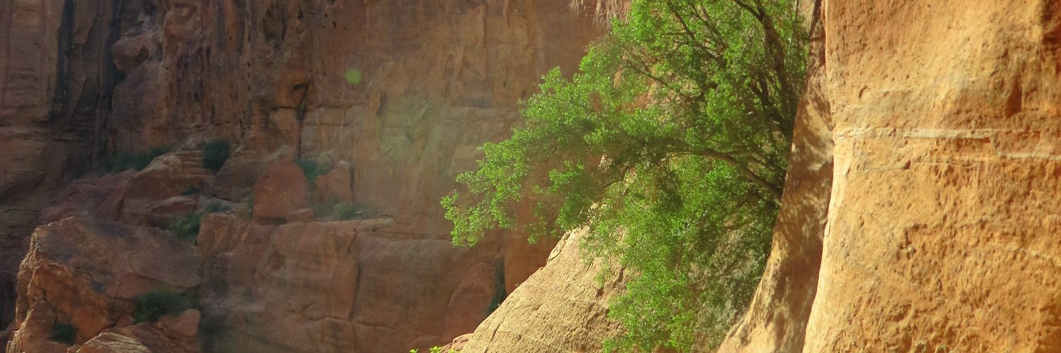 BasimTweissi's profile banner image