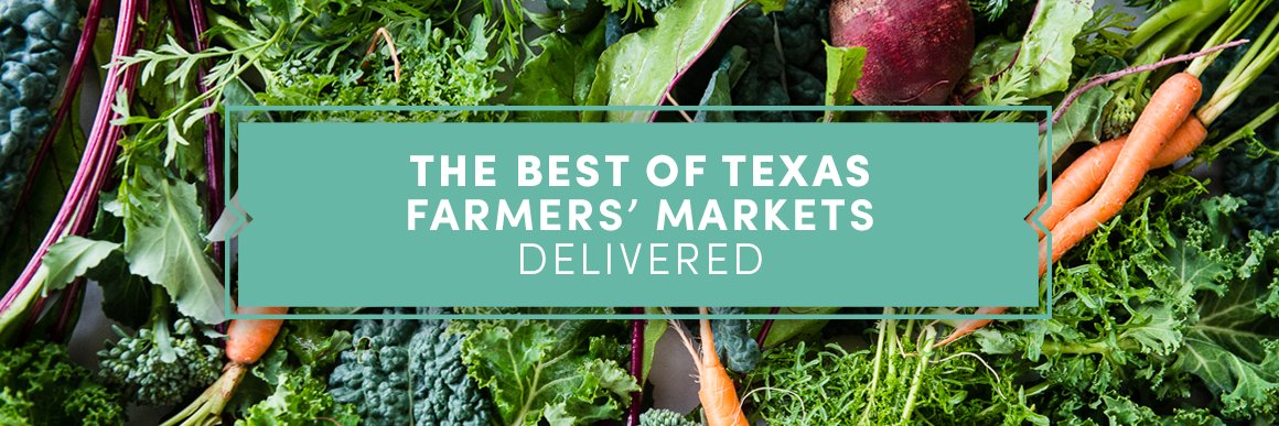 texasfarmhouse's profile banner image