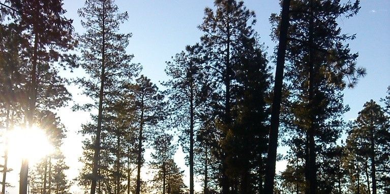 michaelaallen13's profile banner image