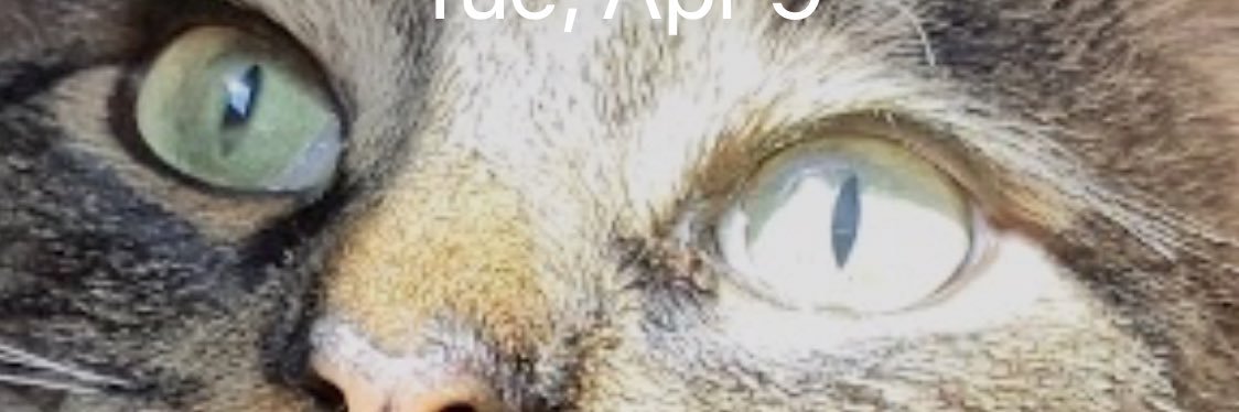 CleverChimney banner