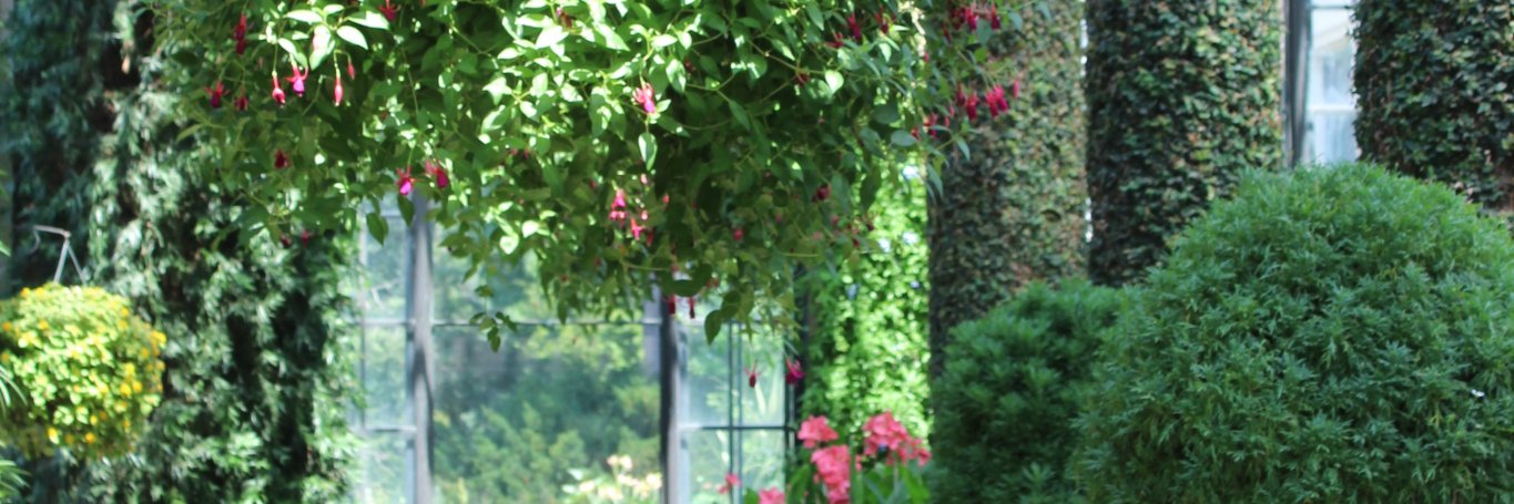 NickyHazelwood's profile banner image