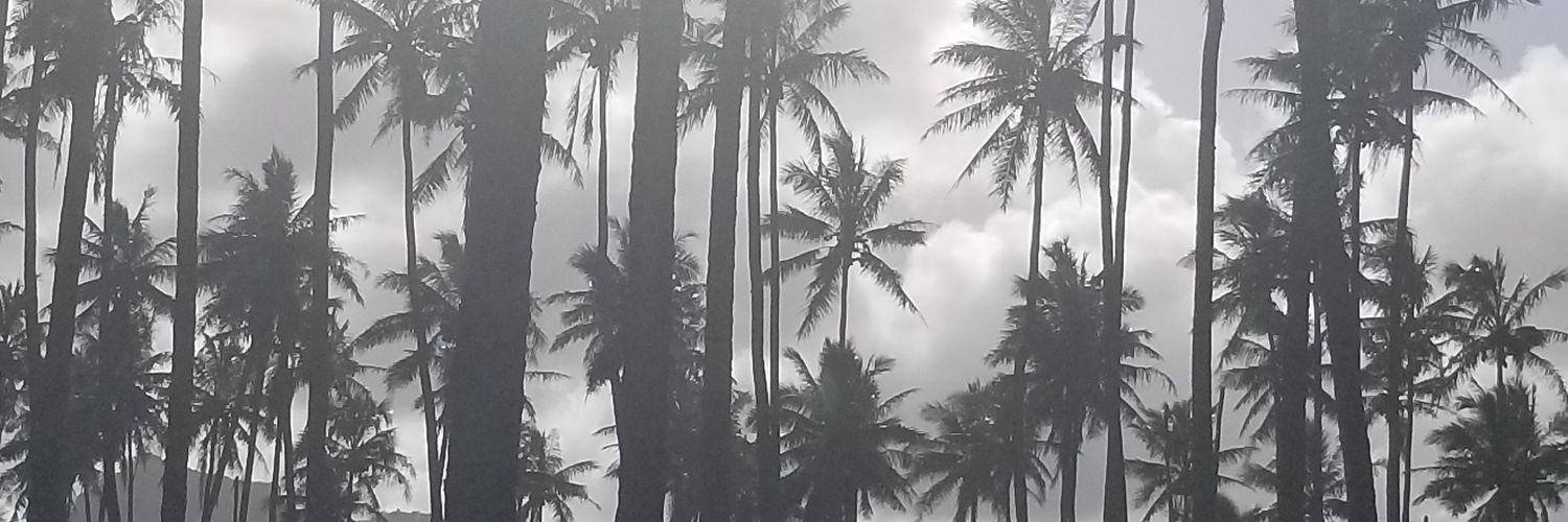 Tina Brun banner
