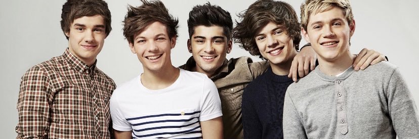 Environmentalist banner