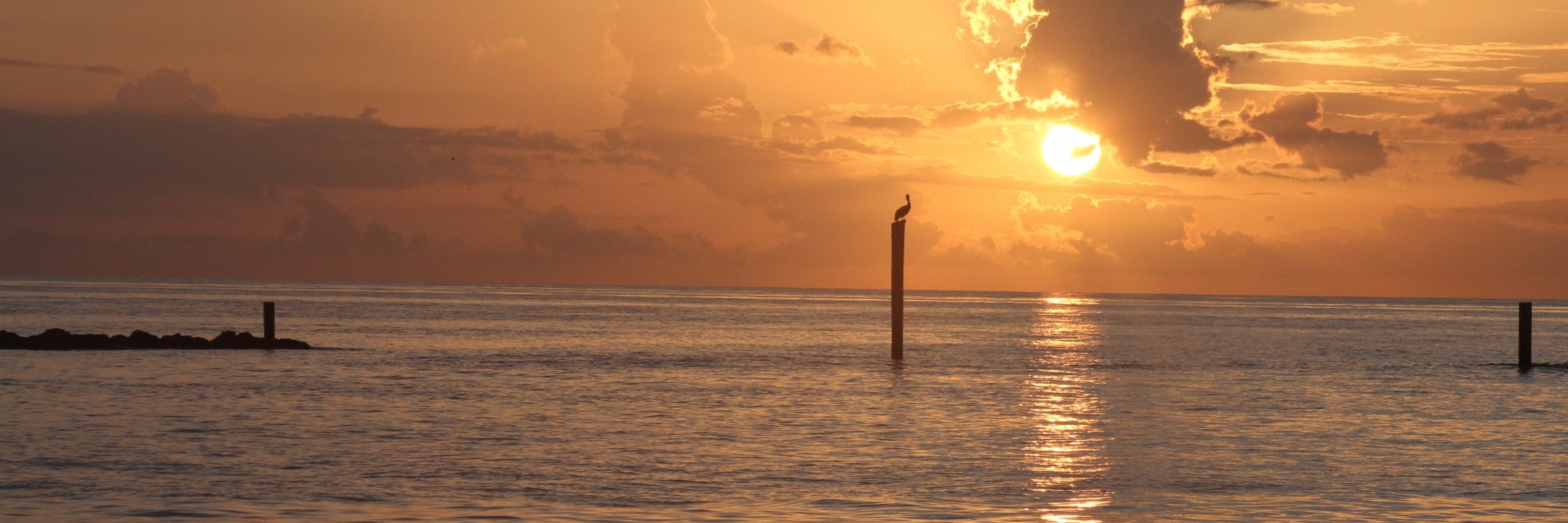 litarlosada's profile banner image