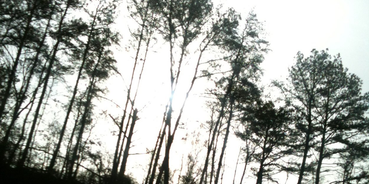 caleyoltman's profile banner image