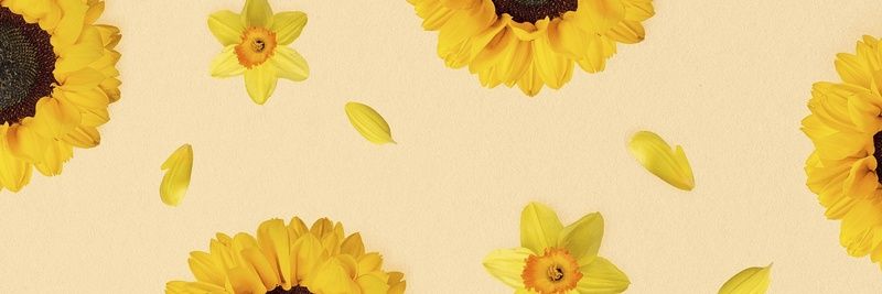 esergren_86's profile banner image