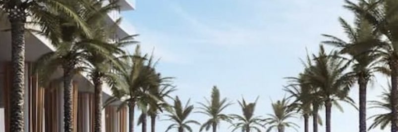 couronne cherie's banner
