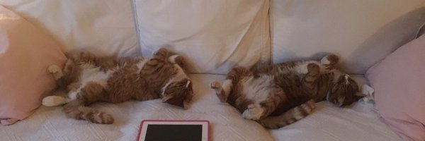 nurseyrachel Profile Banner