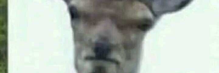 DanSV_00's profile banner image