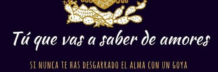 01yair's profile banner image