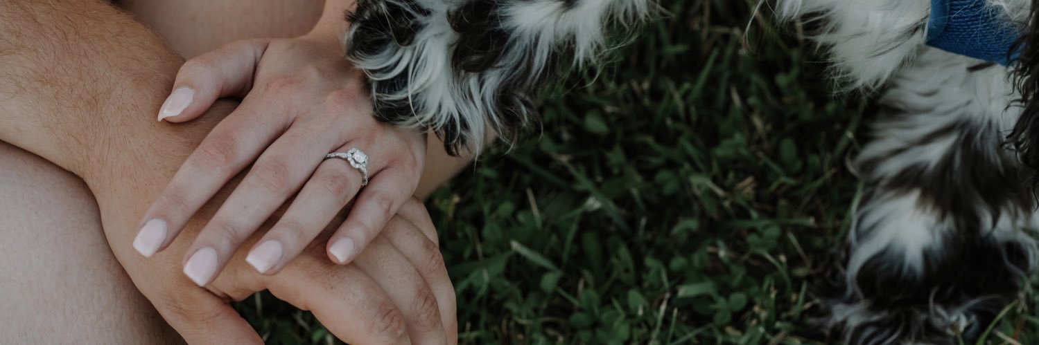 danigravy's profile banner image