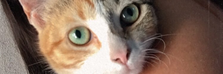 JuliVeel17's profile banner image