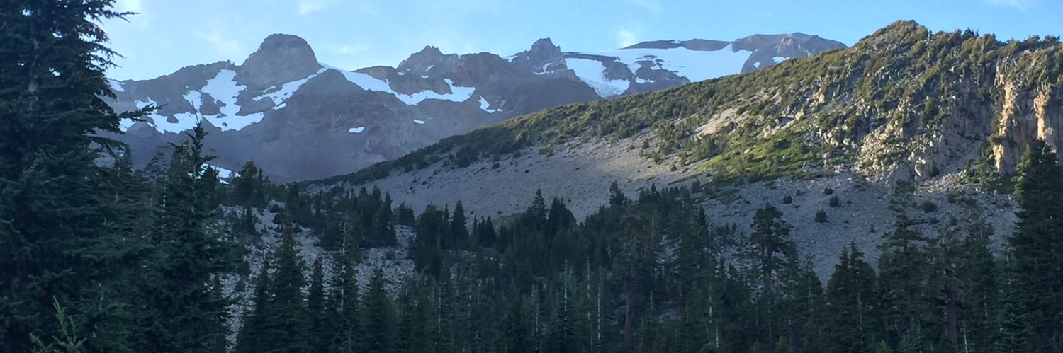 Timothy E Dolan, PhD, APF banner