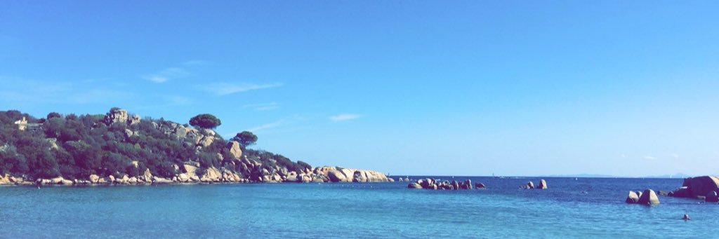 ReynaudPauline's profile banner image