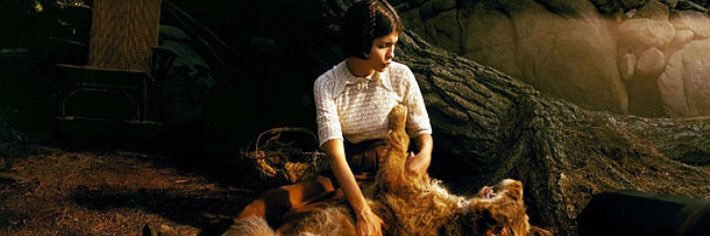 VeronicaShovel's profile banner image