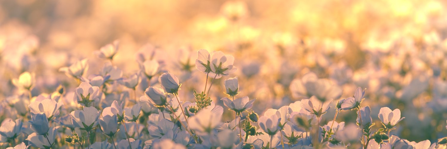 みっし's banner