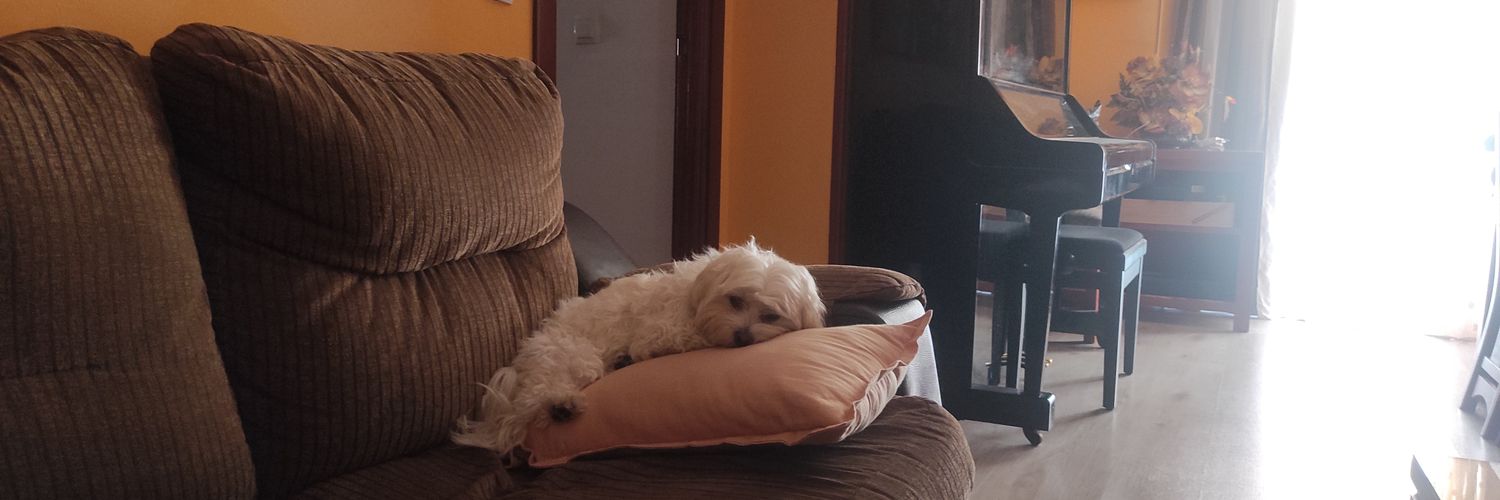 ♥ Eℓvirα ツ Cuenta personal banner