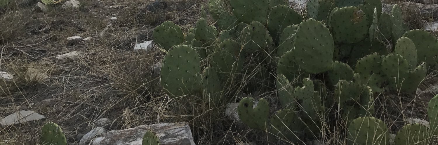 MusicSceneTexas's profile banner image