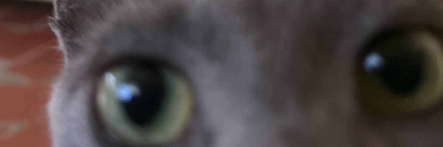 selliace's profile banner image