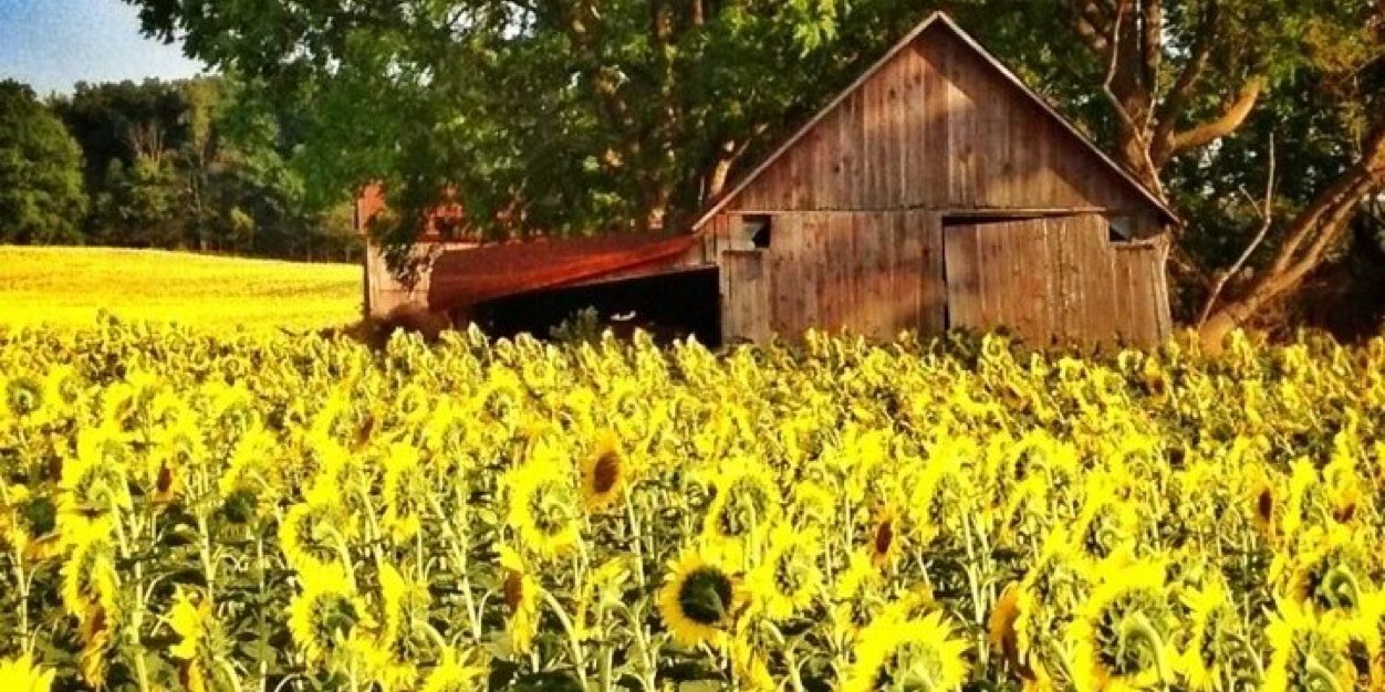 staceyhicks15's profile banner image