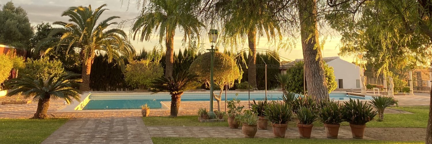 guadaguado's profile banner image