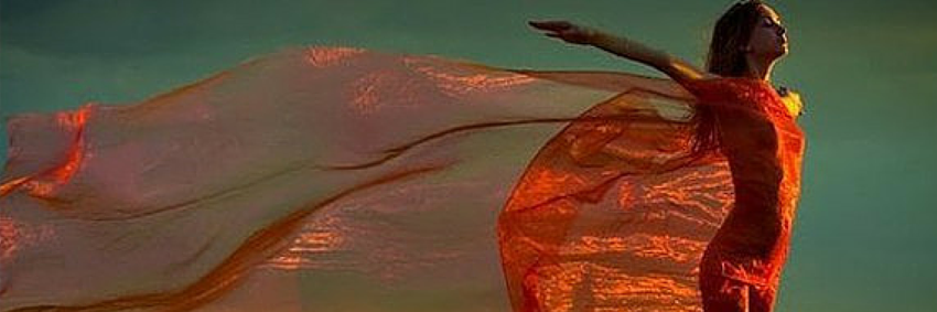allfabeta's profile banner image