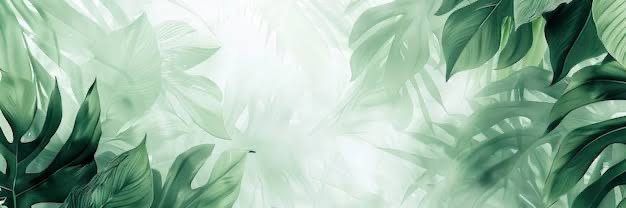 olifenay's profile banner image