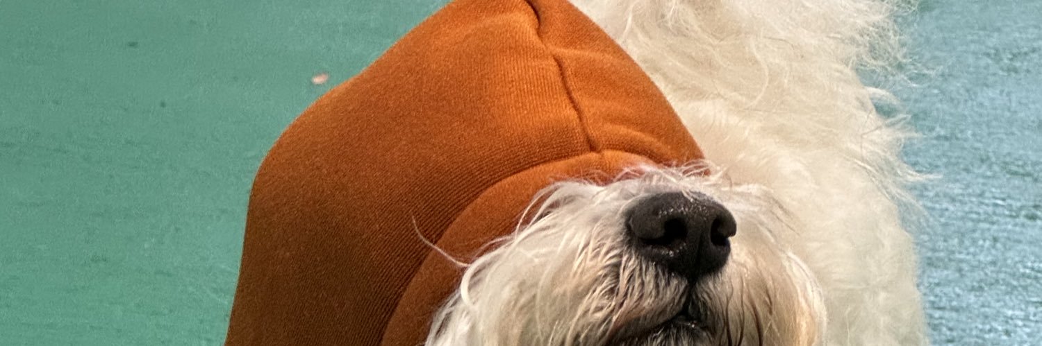 zacman_20's profile banner image